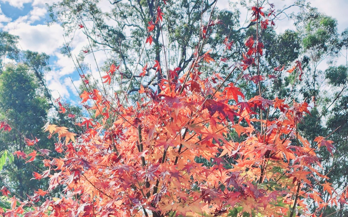 Winter is when I say it&nbsp;is