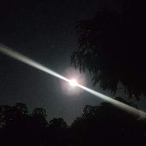 Bright white moon in a dark sky with light glare and tree silhouettes.